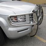 brushguard-2009-06-03 12-34-04