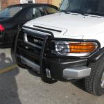 brushguard-2010-12-15 14-15-18