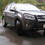 brushguard-2014-10-04 13-31-26