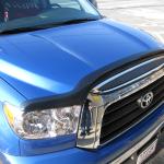 smoked-bugshield-2008-11-28 12-50-52