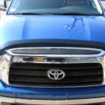 smoked-bugshield-2008-11-28 12-51-09