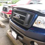 smoked-bugshield-2011-07-18 16-48-12