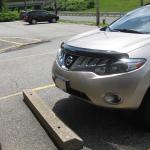 smoked-bugshield-2012-06-18 12-36-44