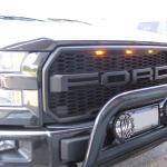 Bull Bars