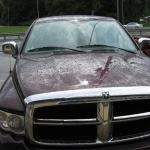 Chrome-Accessories-2009-07-01 16-04-18-18