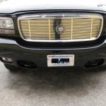 Grill_2009-08-29_027