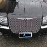 Grill_2010-03-24_026