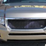 Grill_2011-03-17_009