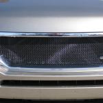 Grill_2011-03-17_010