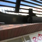 Grill_2011-06-27_003