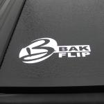 BakFlip-2011-06-24 10-38-30