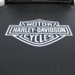 Lo-Pro-QT-Ford-2009-01-17-014