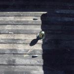 B_and_W_Turnoverball_2010-10-08 001