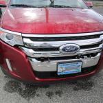 Blue_Ox_2020-08-17 17-37-32_IMG_003