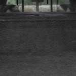 Leer-122-Dodge-2011-11-29 14-40-08-12