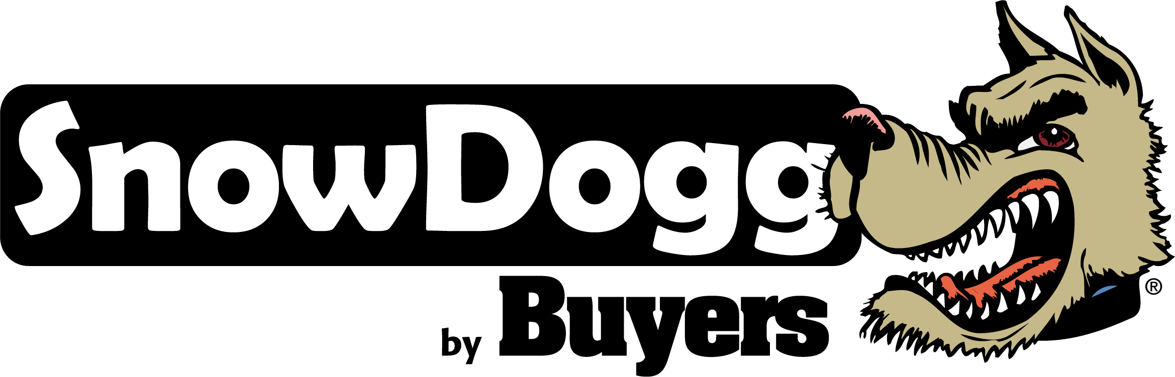 2018 SnowDogg by Buyers Color Dogg | Cap & Hitch of New England